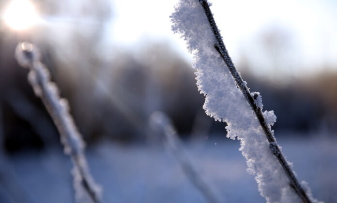 Stiprus vėjas ir sniego staigmena Naujųjų metų pradžioje