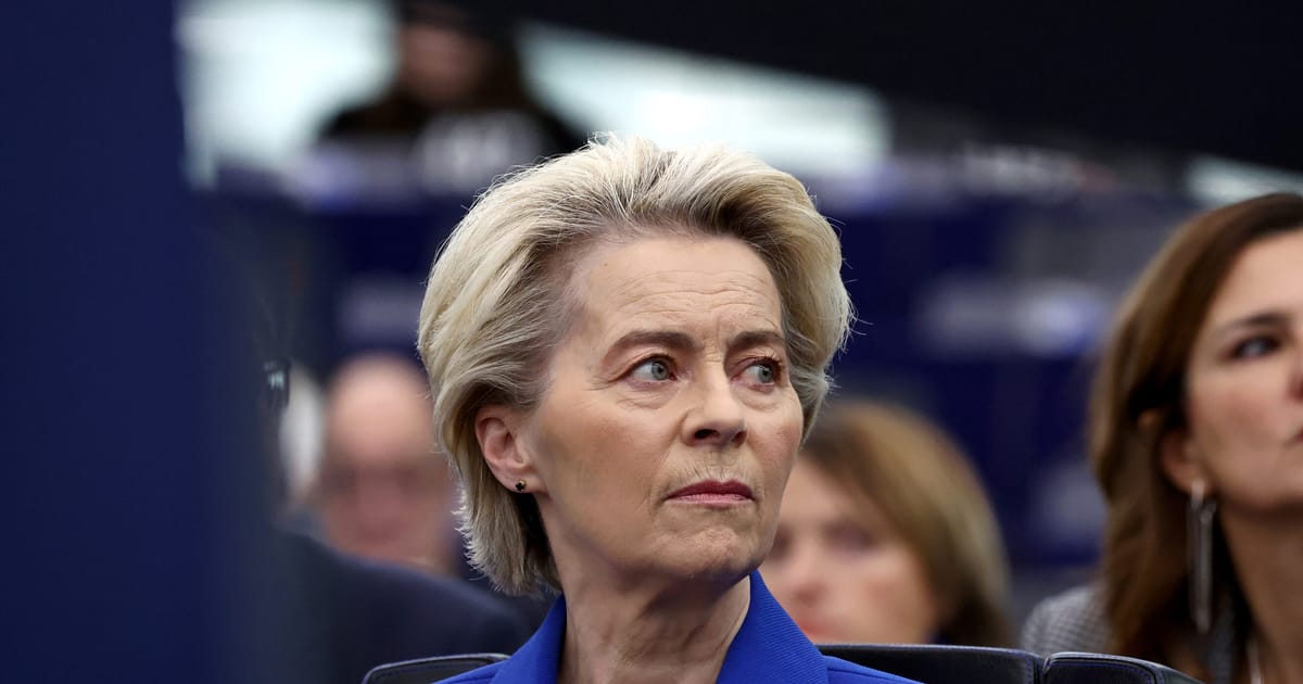 „Galingi patarėjai“ vadovauja von der Leyeno komisijai, sako ES skaidrumo vadovas – POLITICO